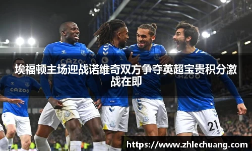 埃福顿主场迎战诺维奇双方争夺英超宝贵积分激战在即